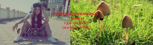 гашиш Няндома