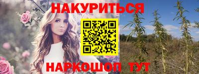 сатива Жуковский