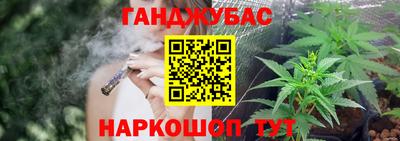 индика Заволжье