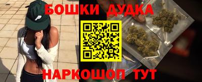 индика Заволжье