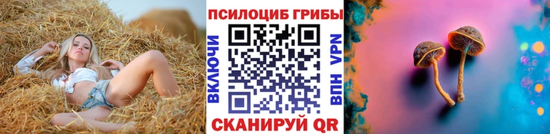 Псилоцибиновые грибы мухоморы  Коряжма 