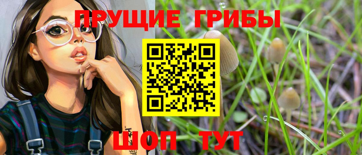 Псилоцибиновые грибы Magic Shrooms Коряжма