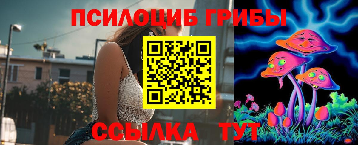 Коряжма  наркота  Вход с VPN  Галлюциногенные грибы MAGIC MUSHROOMS 